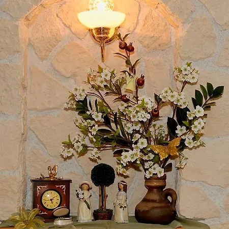 Heide Schneverdingen