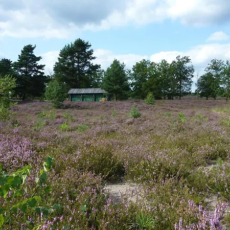 Heide Penzion Schneverdingen